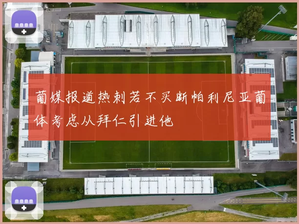葡媒报道热刺若不买断帕利尼亚葡体考虑从拜仁引进他