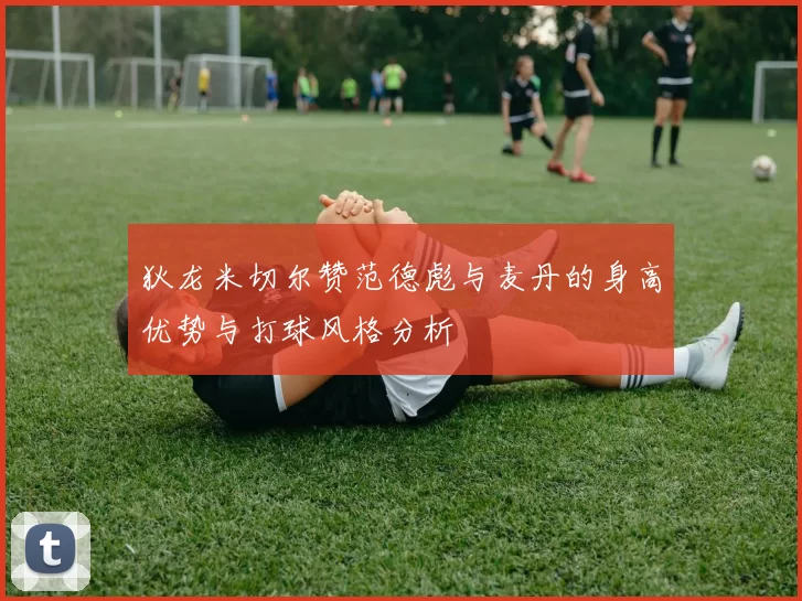 狄龙米切尔赞范德彪与麦丹的身高优势与打球风格分析